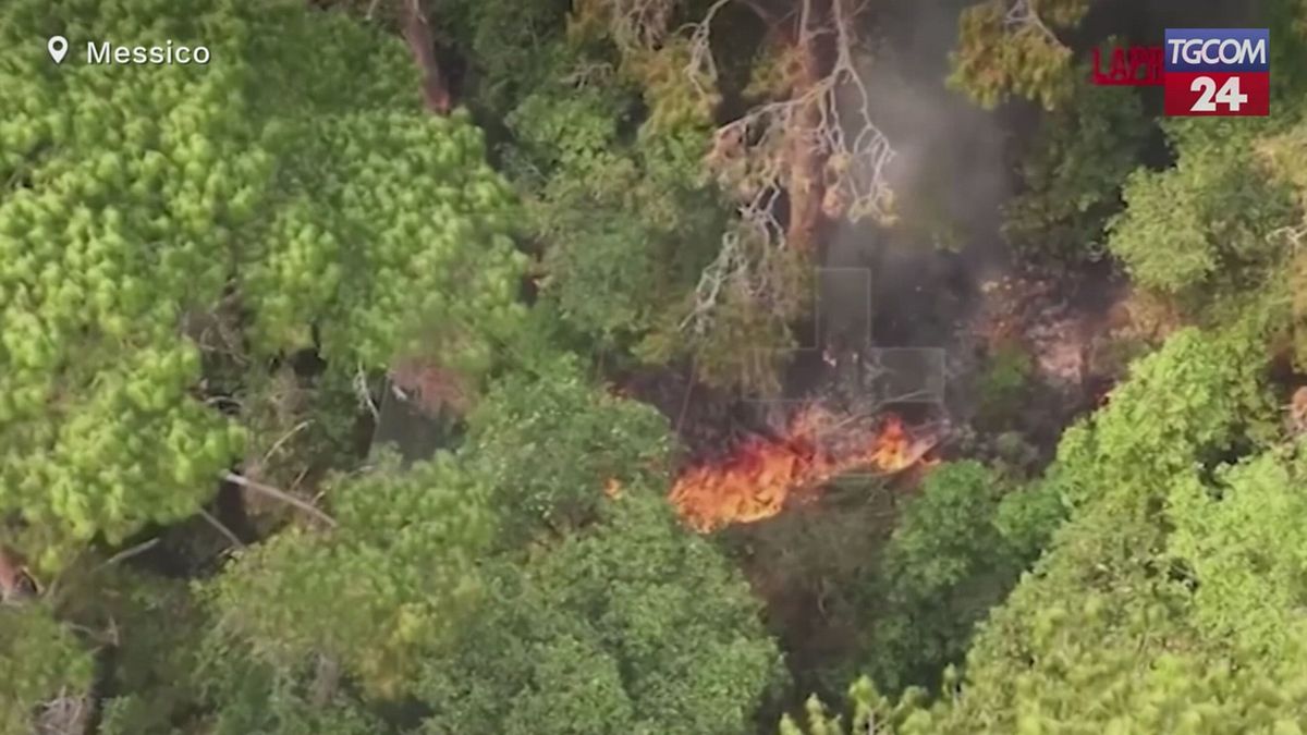 messico vasti incendi scoppiano in tutto il paese