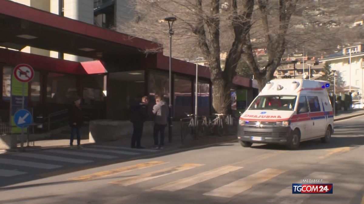 Aosta, tac in ospedale al gatto: quattro indagati