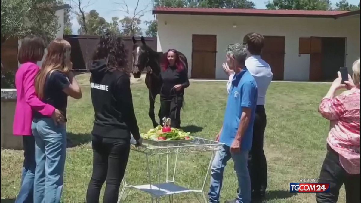 Ippica, una torta di frutta per i 30 anni di Varenne
