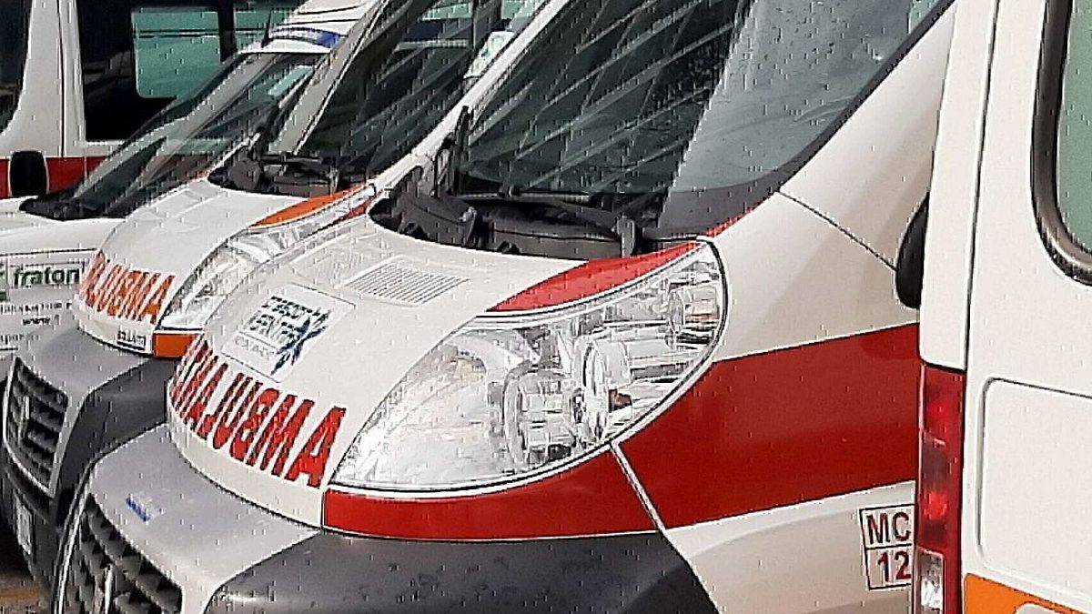 Valvola Frenaggio, Freno Servizio Per Camion, Veicoli Industriali E | Prezzo Online Sul AUTODOC