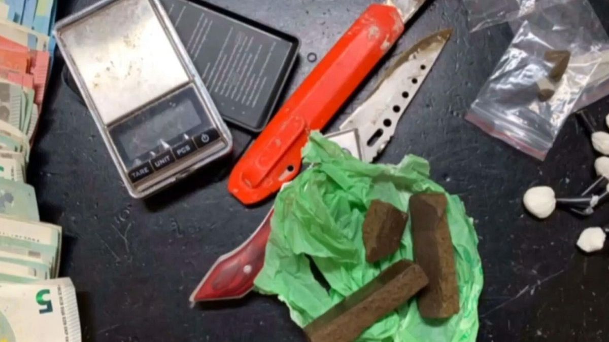 molfetta il delivery della droga cocaina venduta online come piatti della tradizione 14 arresti