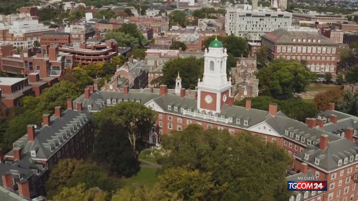 amministrazione trump blocca le iscrizioni degli studenti stranieri a harvard