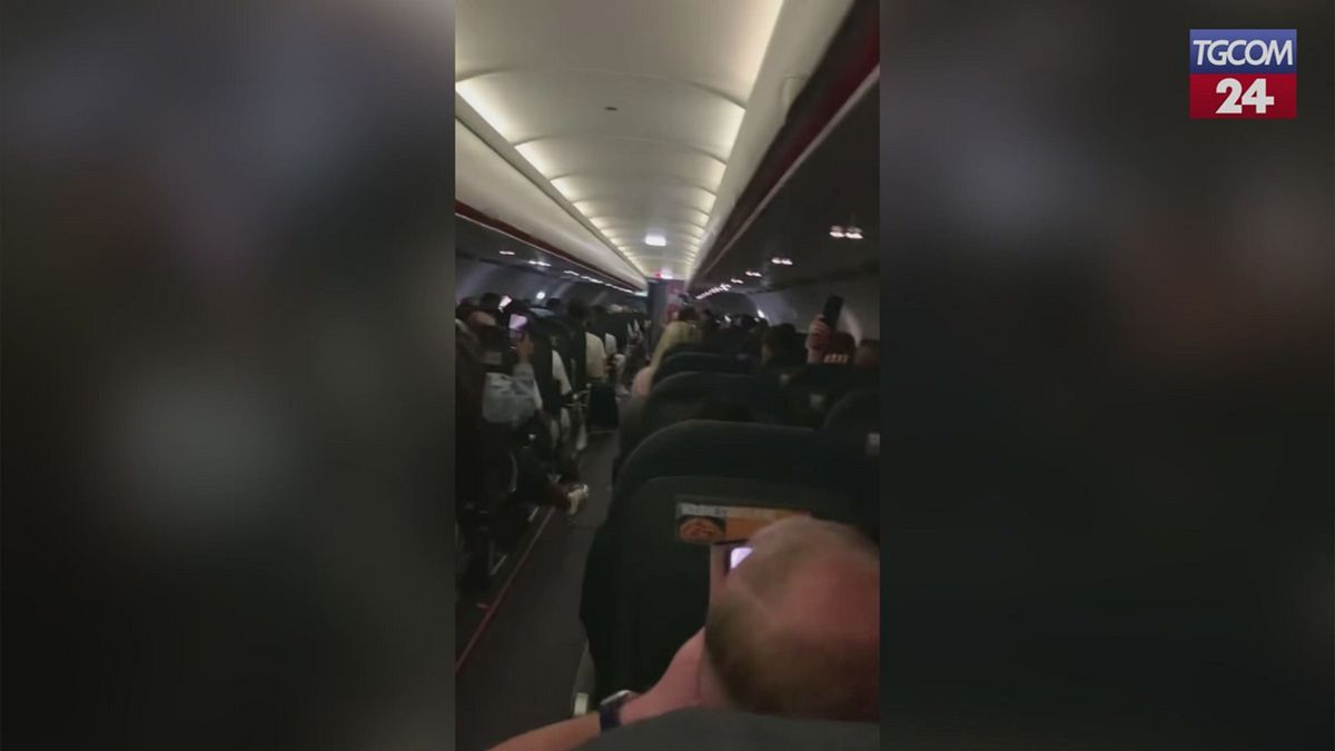 passeggeri ubriachi sul volo ibizalondra un orrore un aereo pieno di animali 