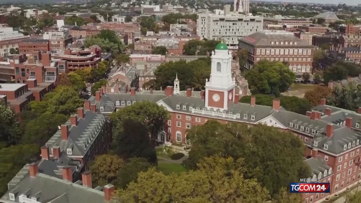 harvard giudice blocca il giro di vite sugli stranieri