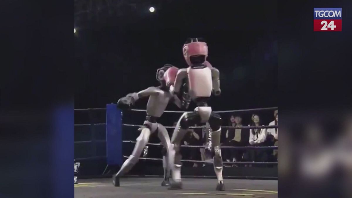 robot coi guantoni in cina il primo torneo di boxe hitech