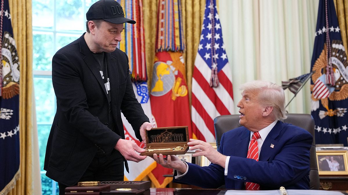 Trump: "Vogliamo studenti stranieri ma non chi crea problemi" | "Musk? Ha portato grandi cambiamenti, farà avanti e indietro dalla Casa Bianca"