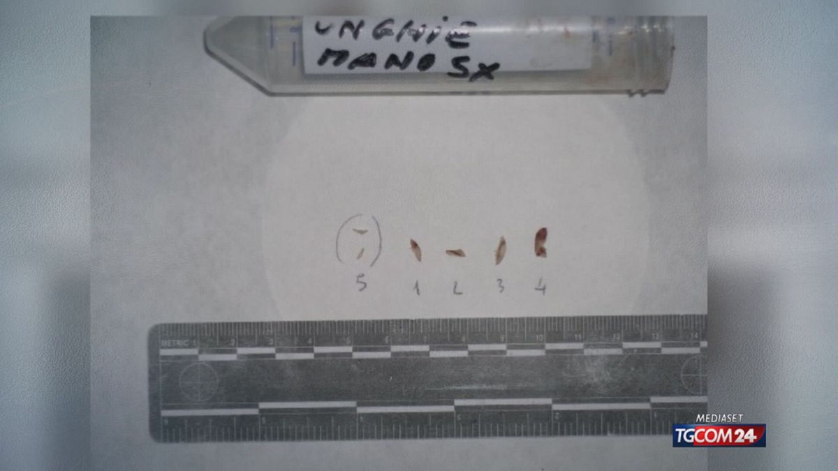 Delitto di Garlasco, "Dna trovato sotto le unghie di Chiara sarebbe al 99% di Sempio"