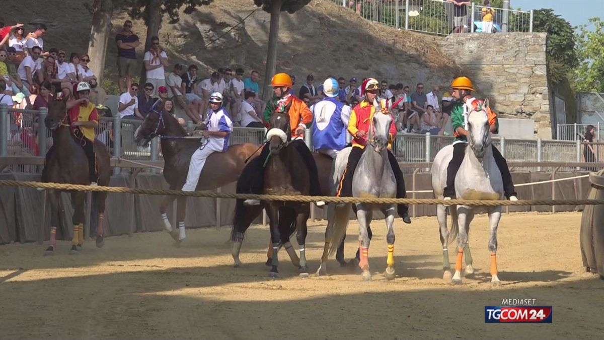 Cavalli al via per le prove del Palio di Castiglion Fiorentino