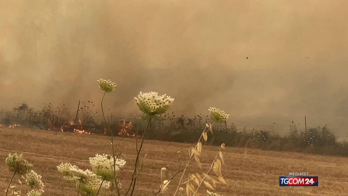 La Sardegna brucia (come ogni anno): decine di roghi