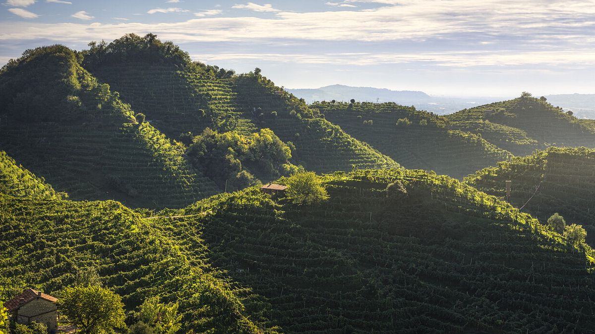 Le colline della Valdobbiadene © Istockphoto