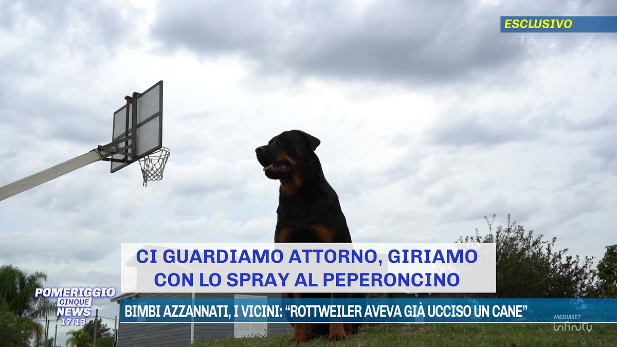  © Da video