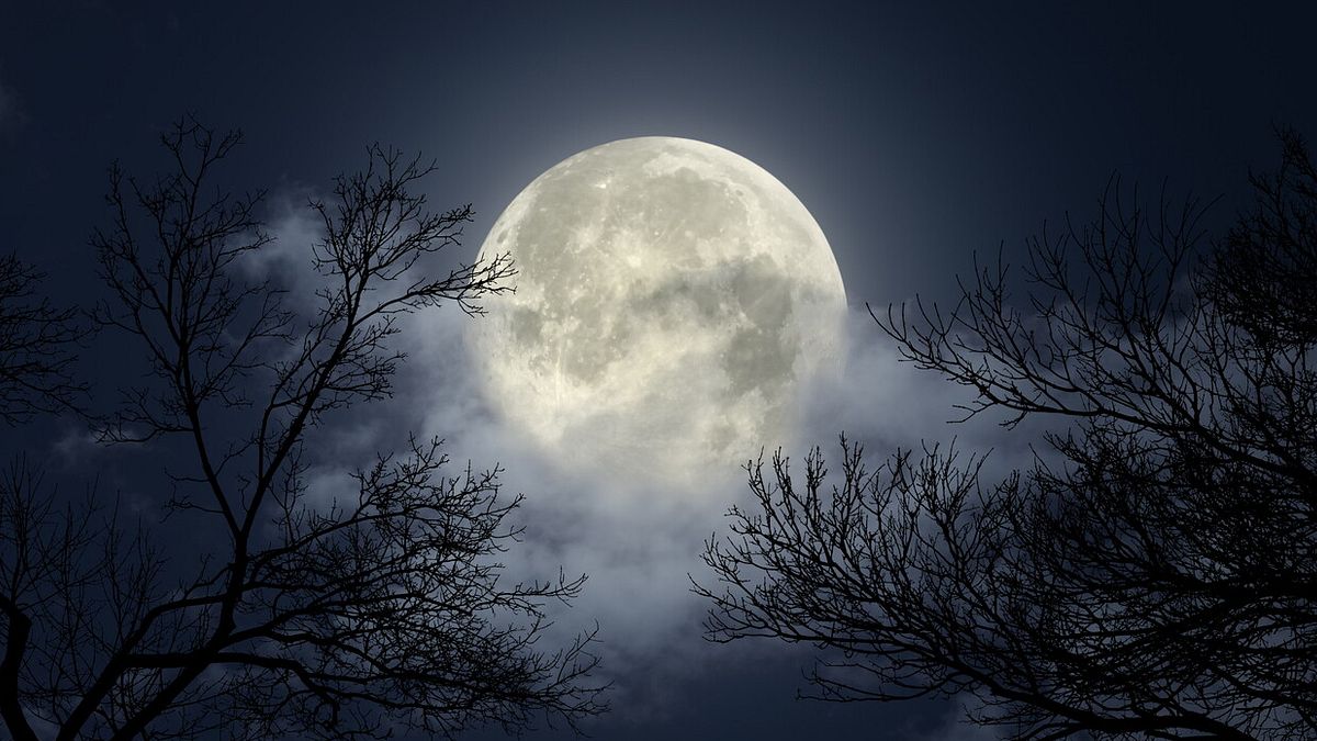  © Istockphoto