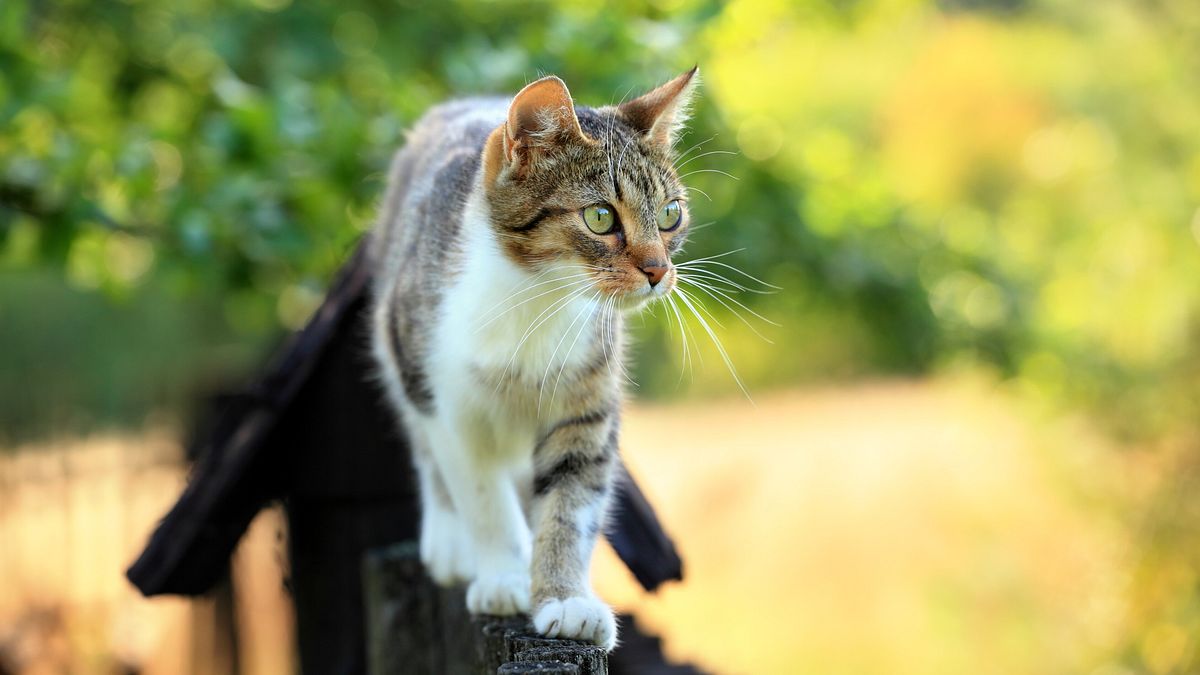  © Istockphoto