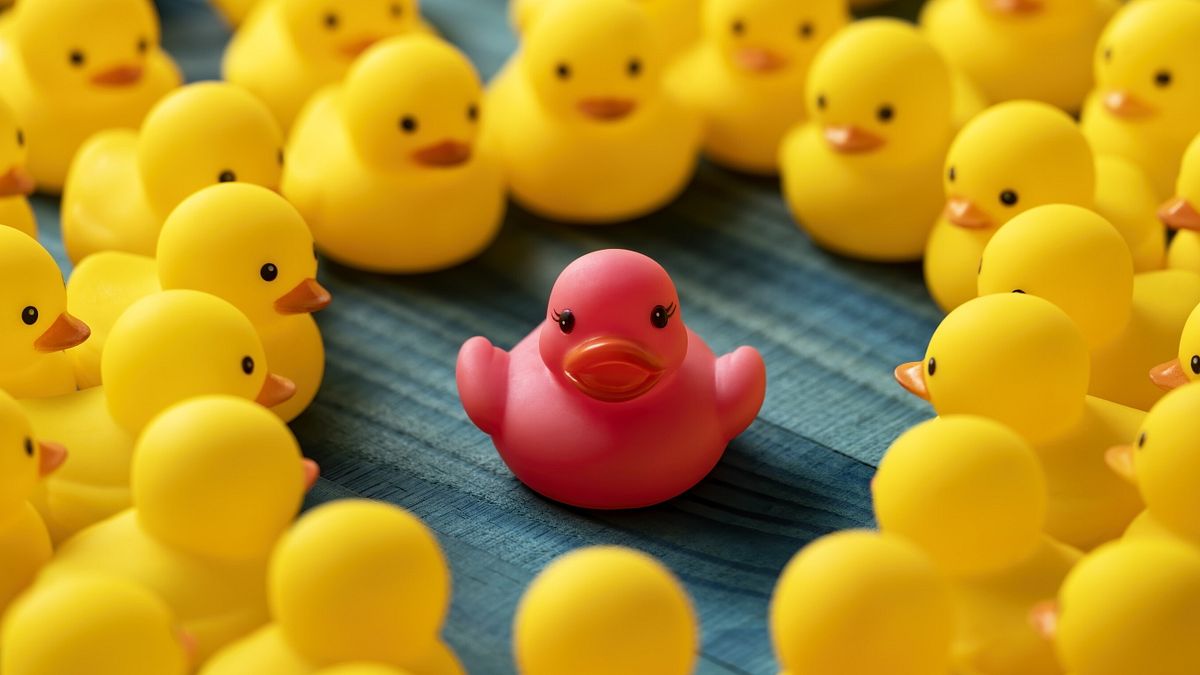  © Istockphoto