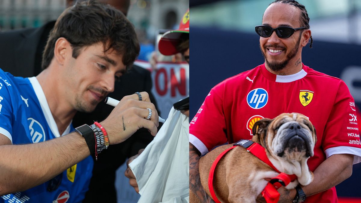 I piloti della Ferrari: Charles Leclerc tra i tifosi a Milano, Lewis Hamilton nel paddok con il suo cane Roscoe © IPA