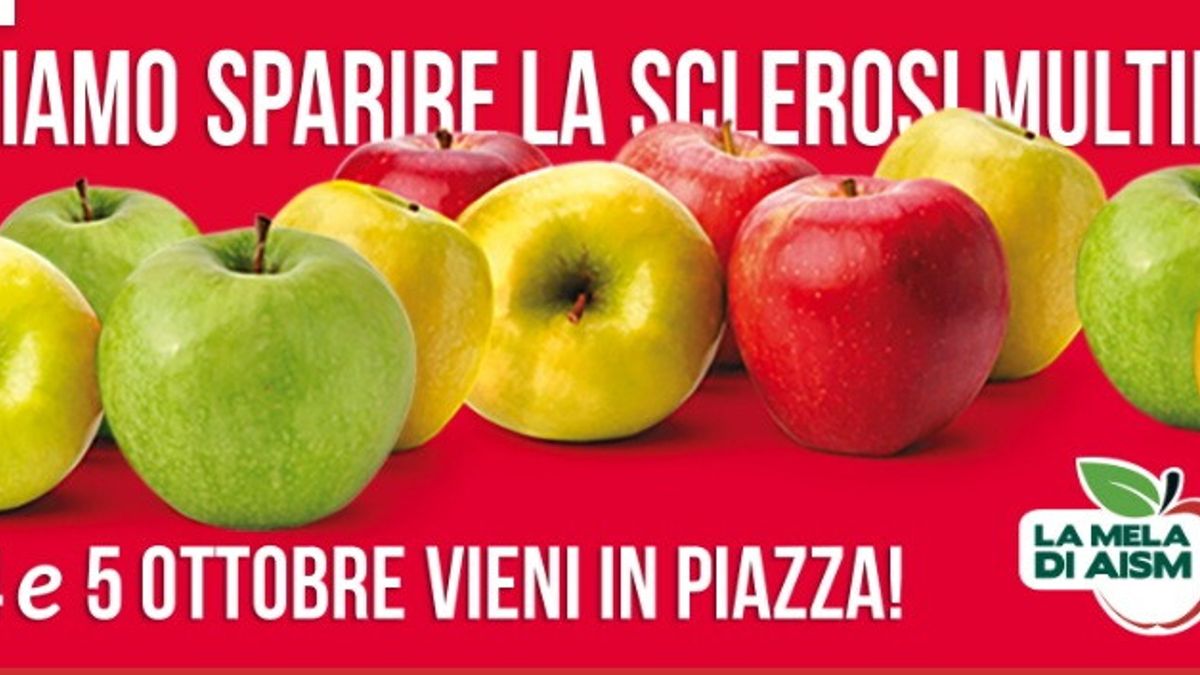  © Dal Web