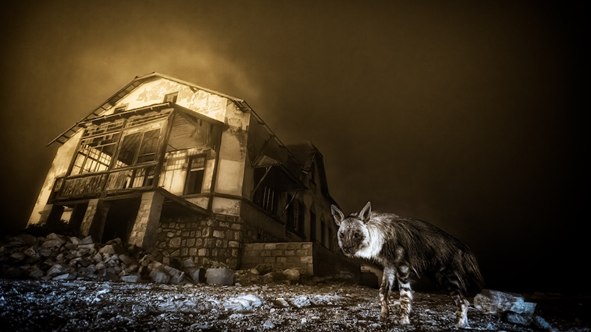  © ©-Wim-van-den-Heever-courtesy-Wildlife-Photographer-of-the-Year
