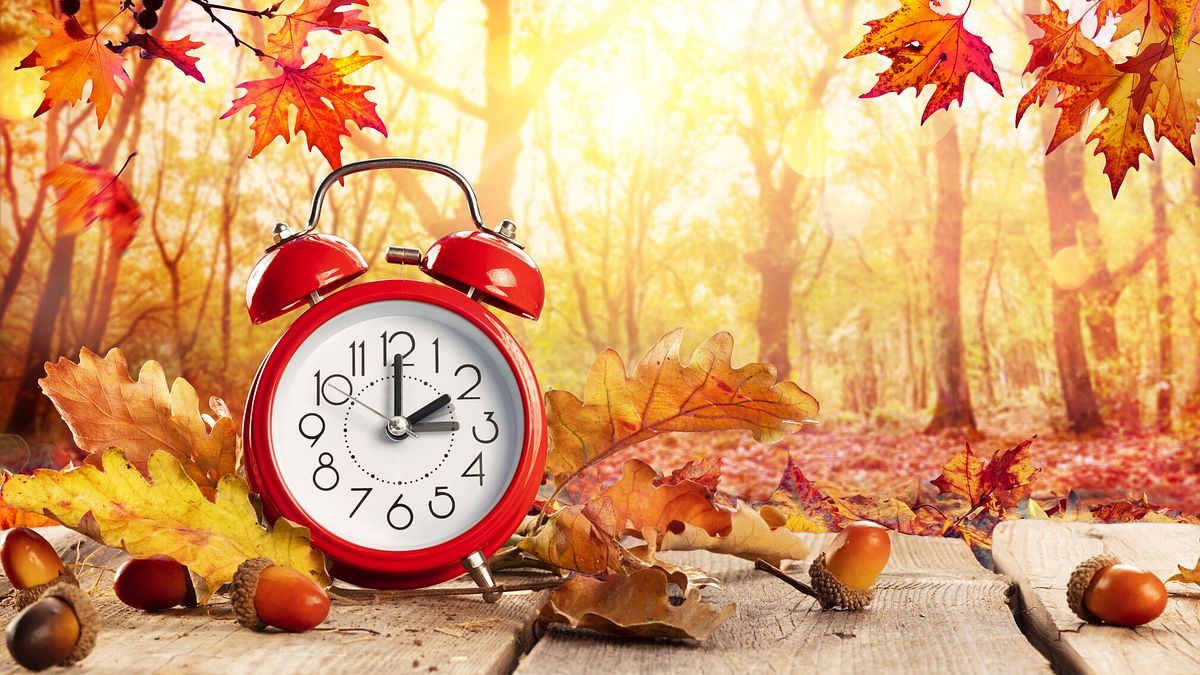  © Istockphoto