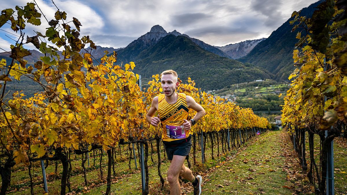  © Valle dei Segni Wine Trail Press Office