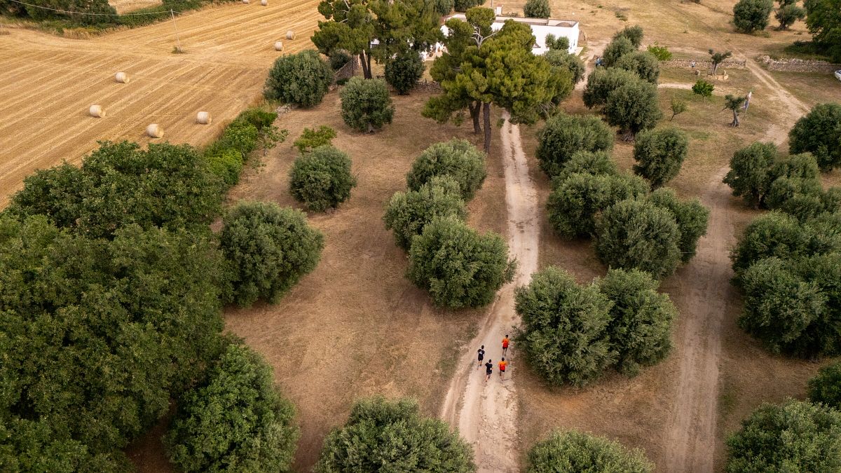  © Puglia by UTMB Press Office