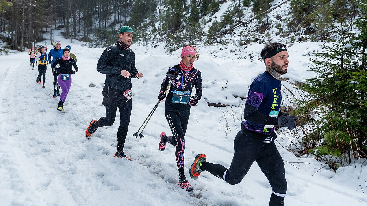  © Giacomo Meneghello