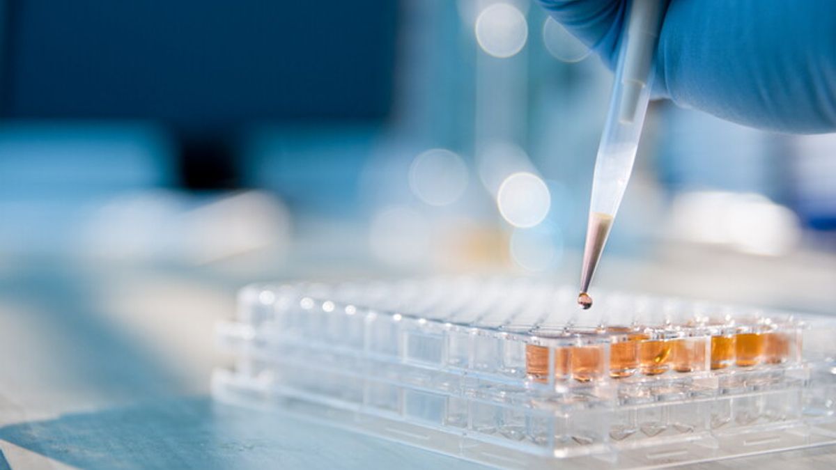 Genoma Puglia © Ansa