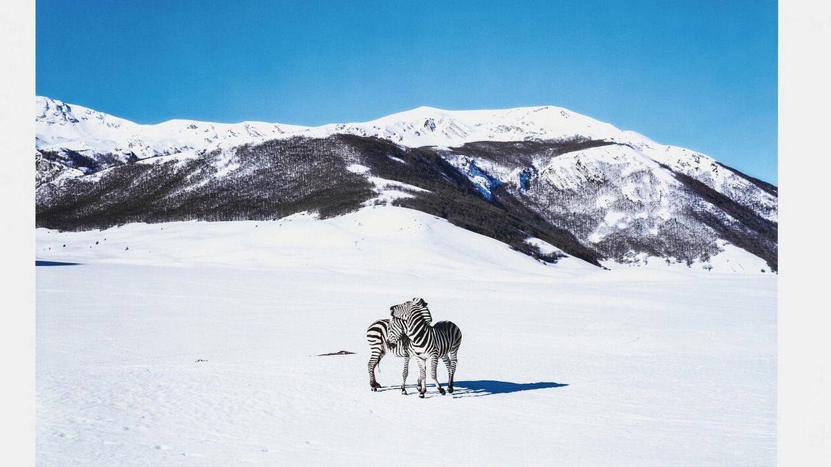  © Paola Pivi_ Photography by Hugo Glendinning