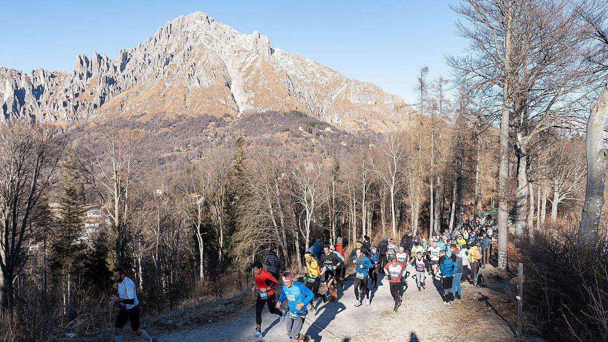  © Giacomo Meneghello