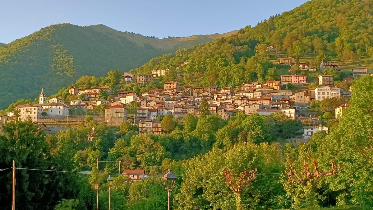  © Da ufficio stampa