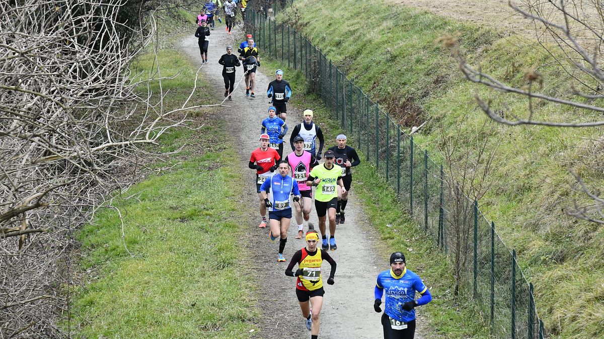  © Cinzia Corona/Clauio Bravi