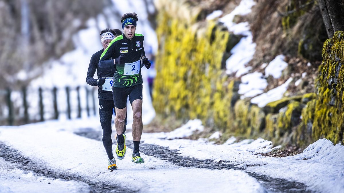  © Francesco Bergamaschi