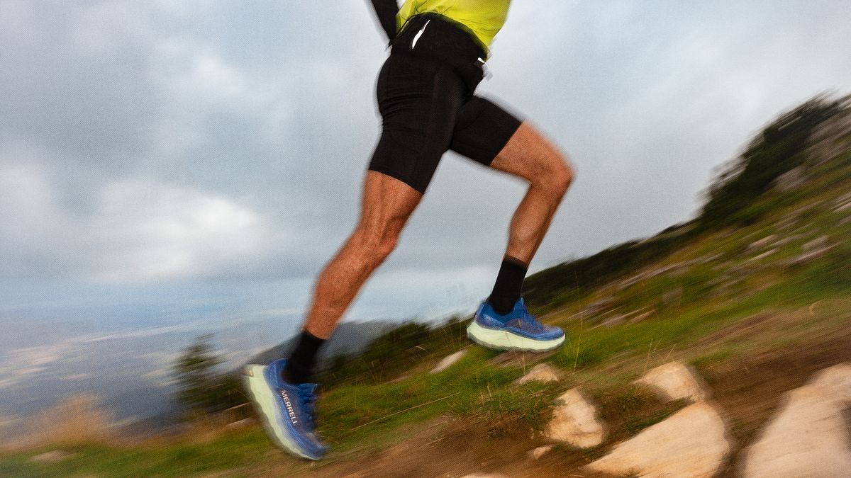  © Merrell Press Office