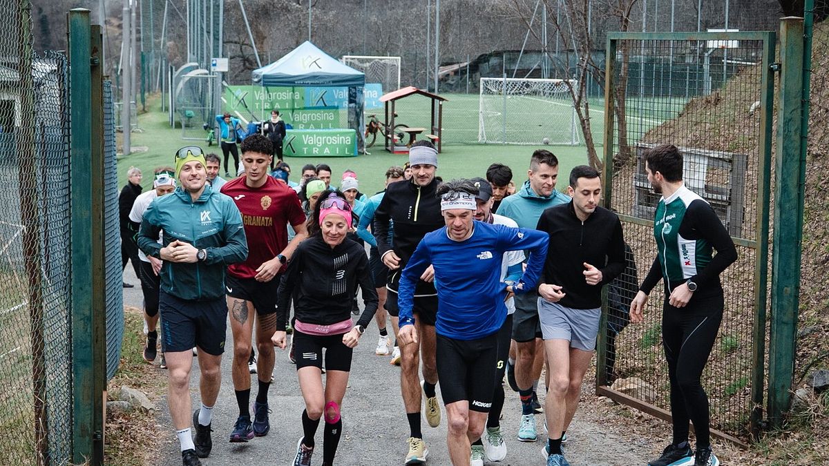  © Giacomo Meneghello