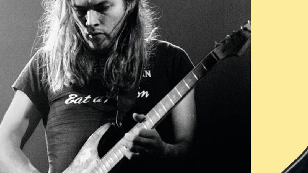 Chitarra David Gilmour © Instagram