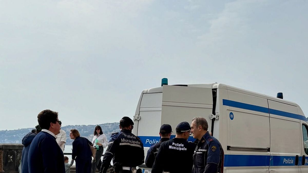  © Francesco Emilio Borrelli