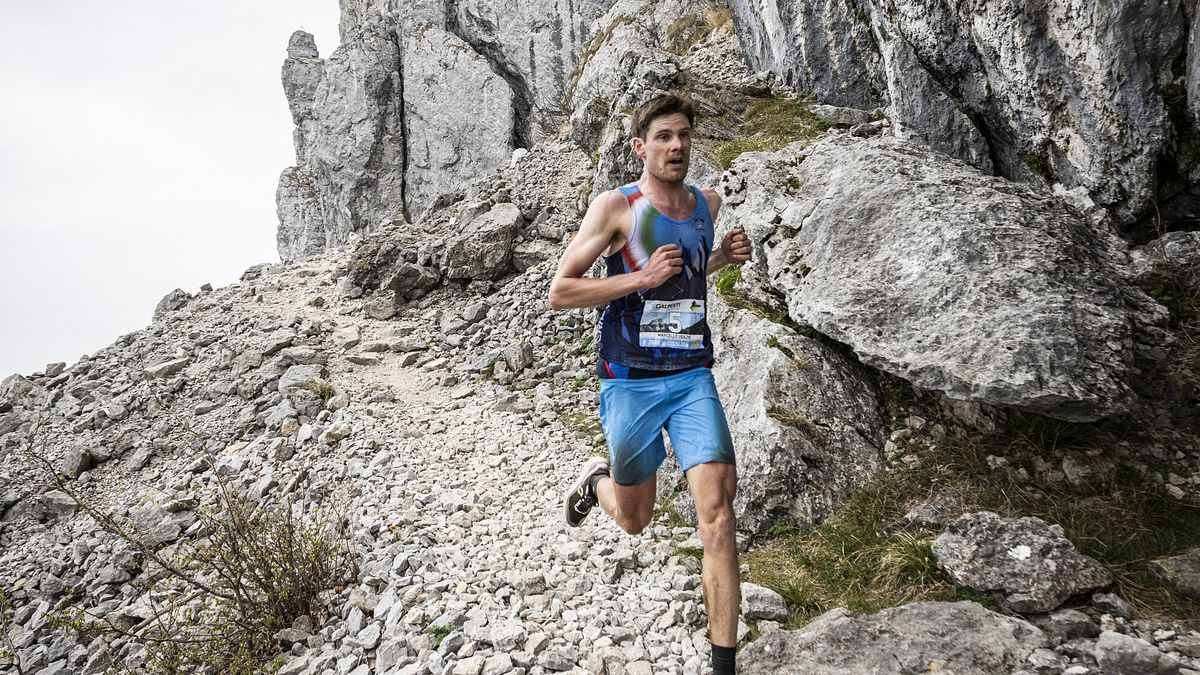  © Francesco Bergamaschi