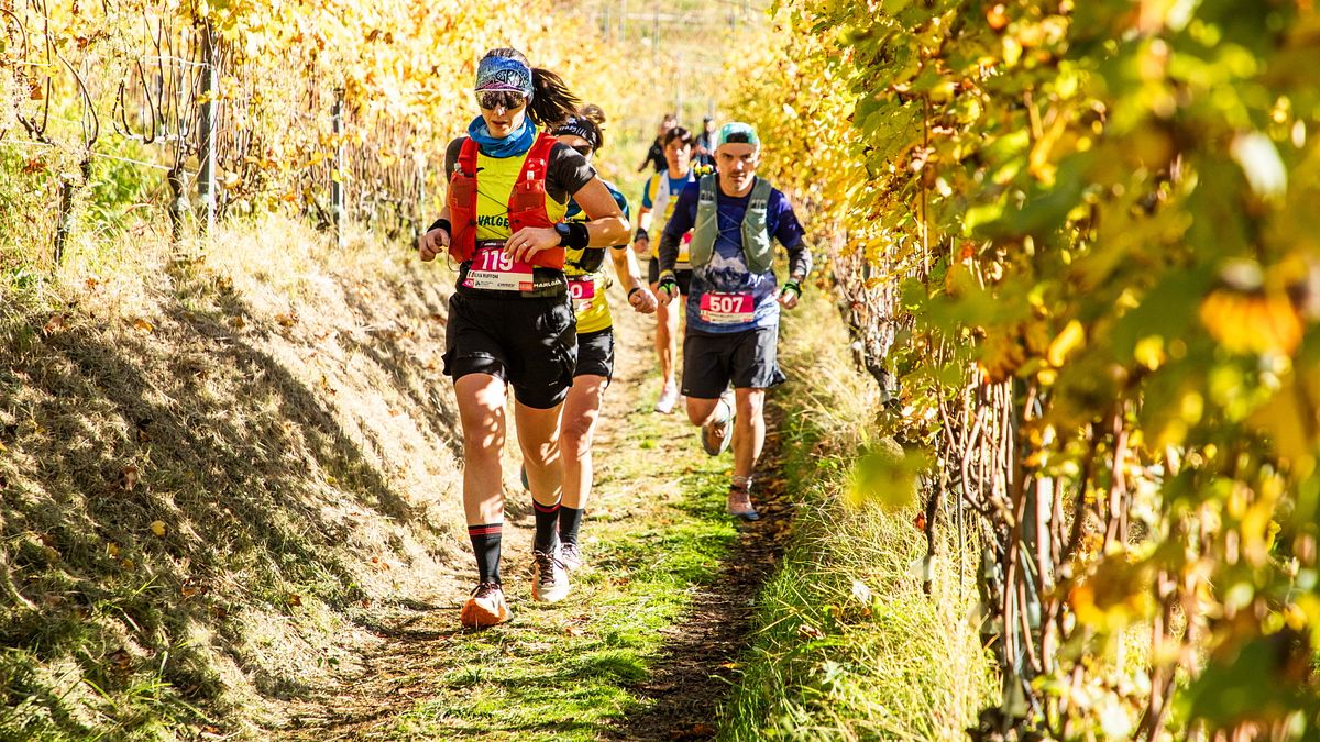  © Valtellina Wine Trail Press Office