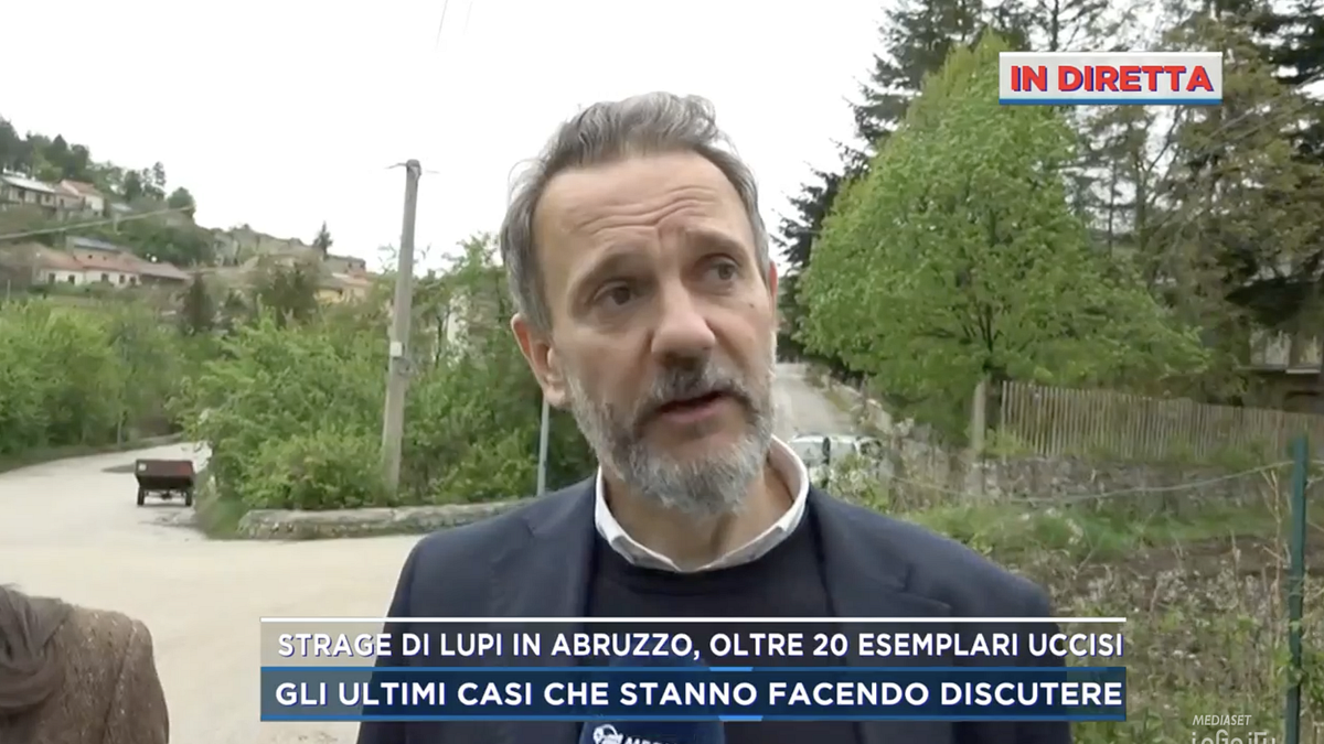  © Da video