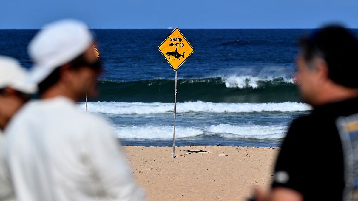  © Afp