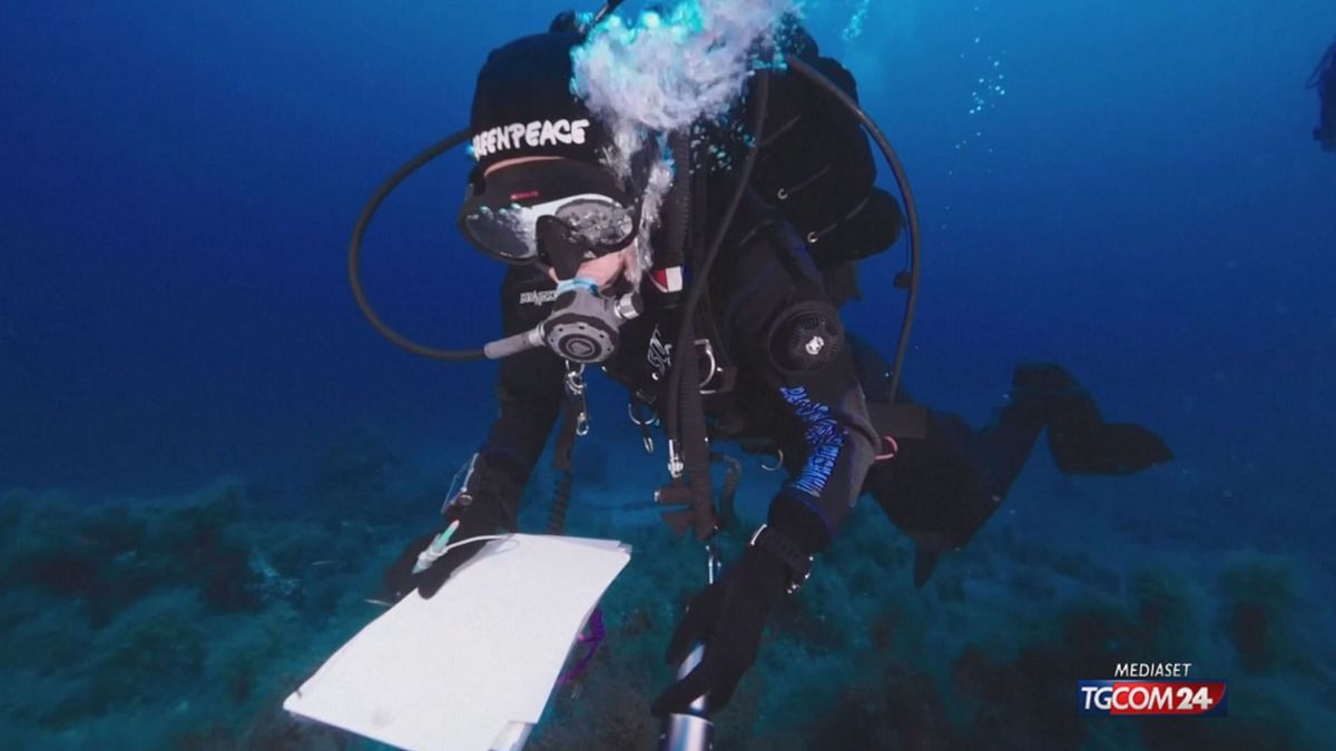 Maldive, l'istruttore esperto: "I sub non avrebbero fatto cose senza essere capaci di gestirle" © Da video