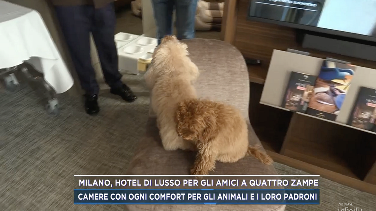  © Da video