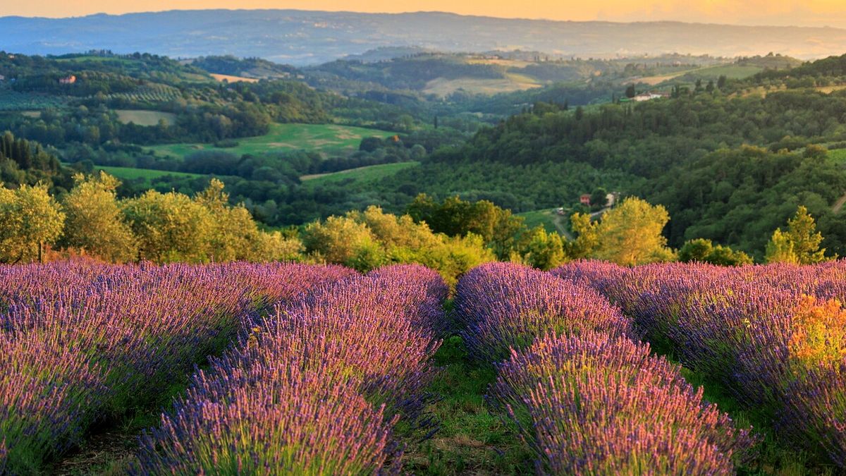  © Istockphoto
