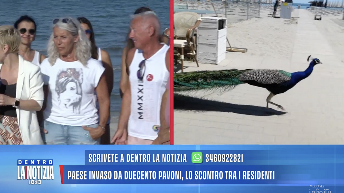 © Da video