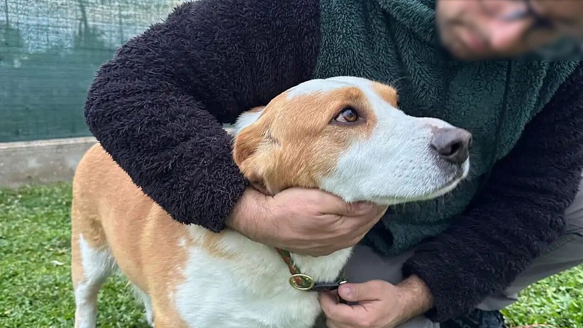  © Associazione Animalisti Italiani