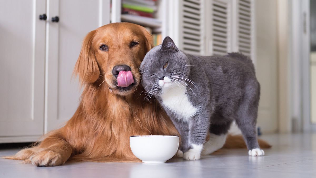  © Istockphoto
