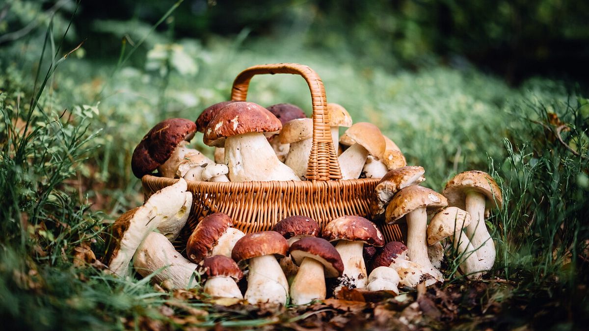  © Istockphoto