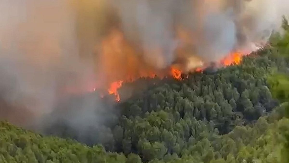  L'incendio in località Pile Fraballe, a Peschici © Ansa