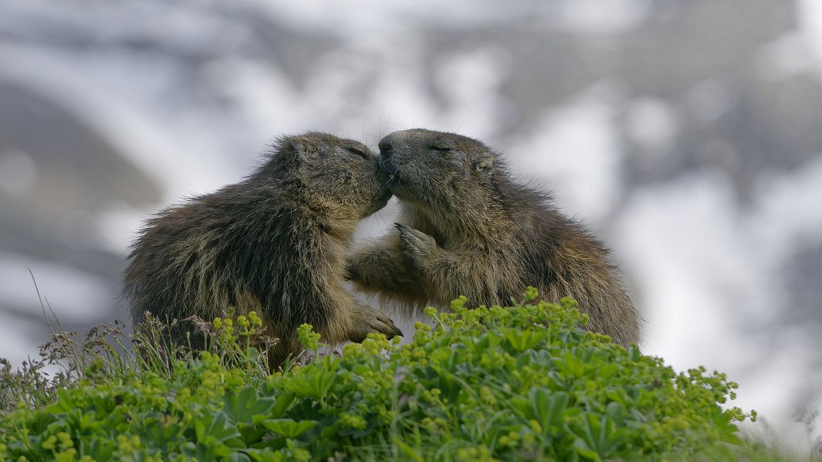  © Istockphoto