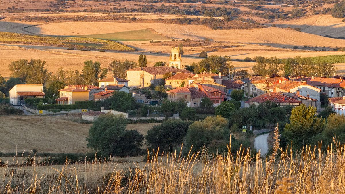  © Istockphoto