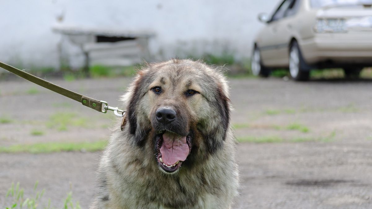  © Istockphoto